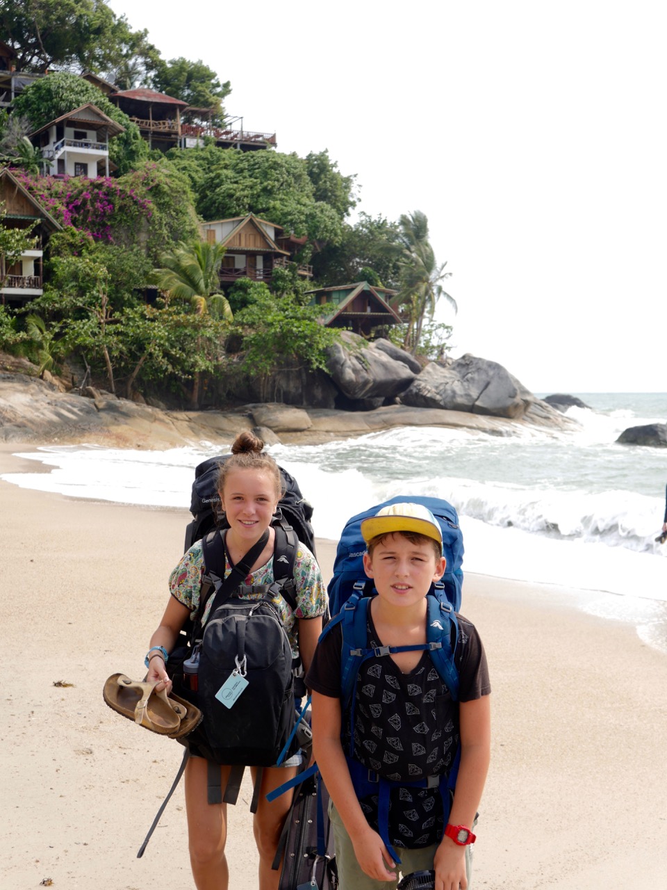 The Fogorellis Go Feral