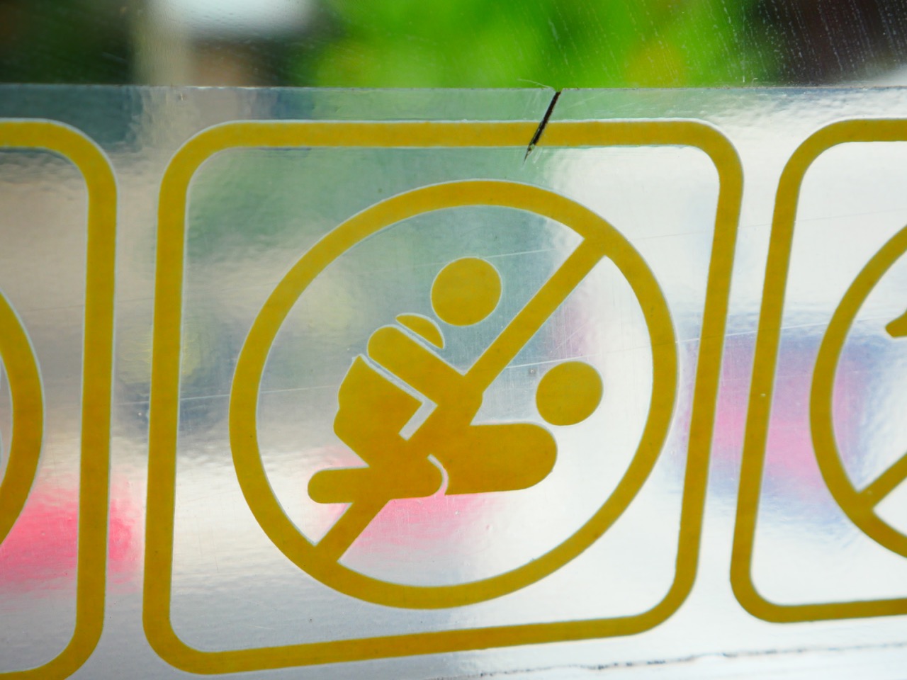 The Fogorellis Go Feral