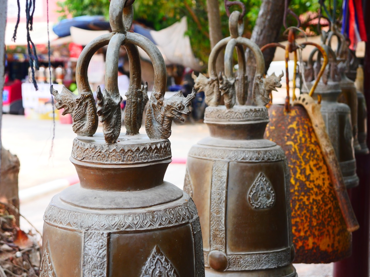 The Fogorellis Go Feral