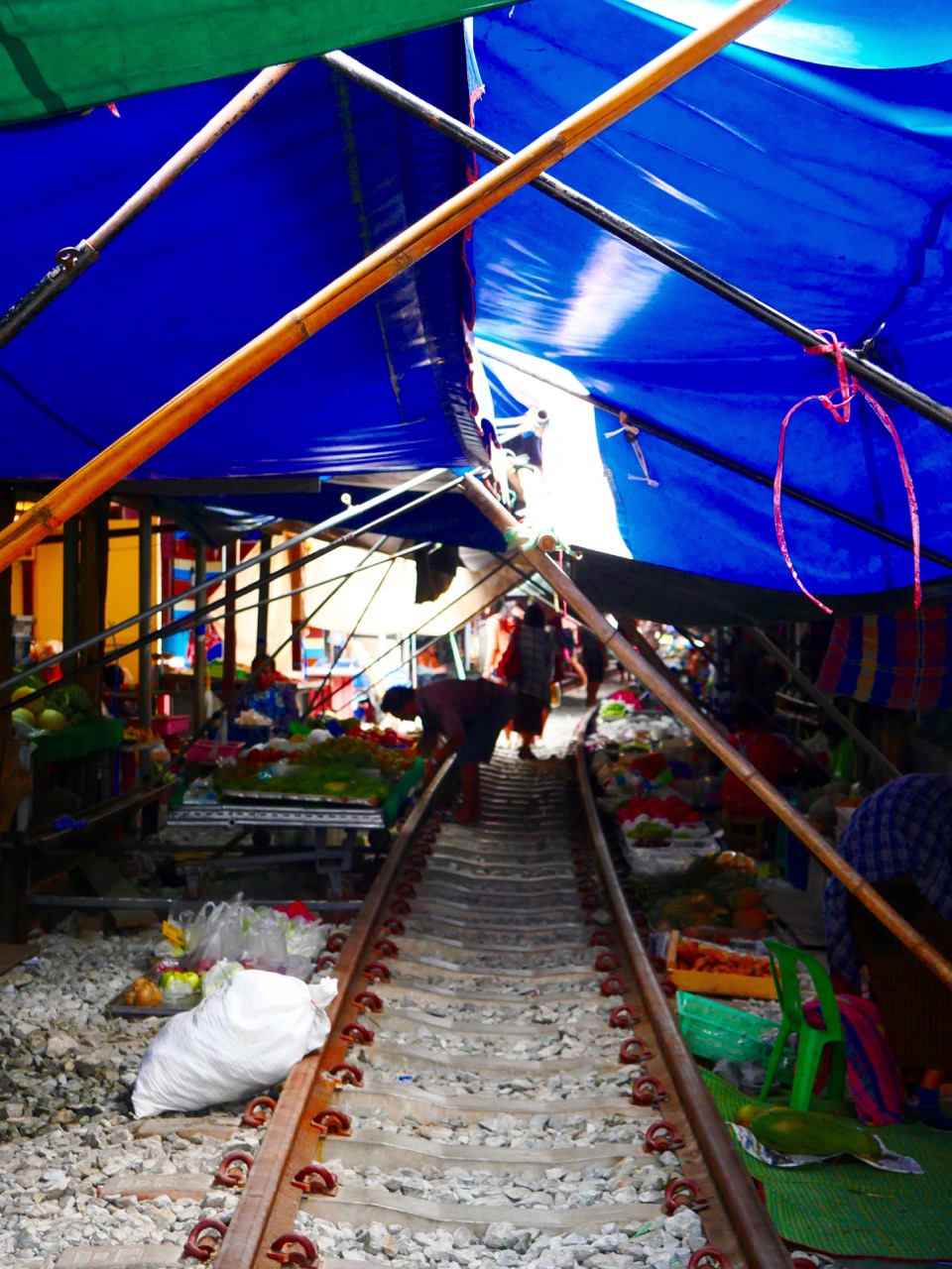 The Fogorellis Go Feral