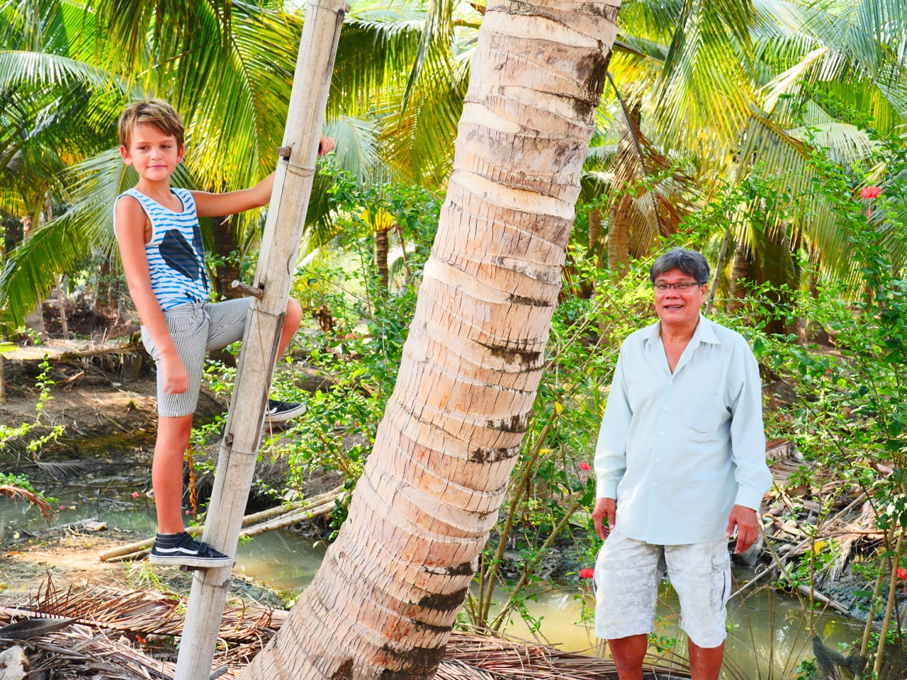 The Fogorellis Go Feral