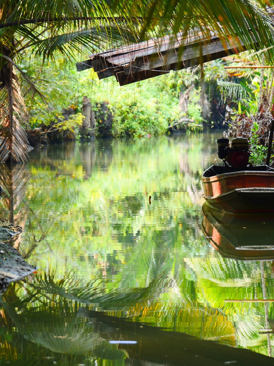 The Fogorellis Go Feral