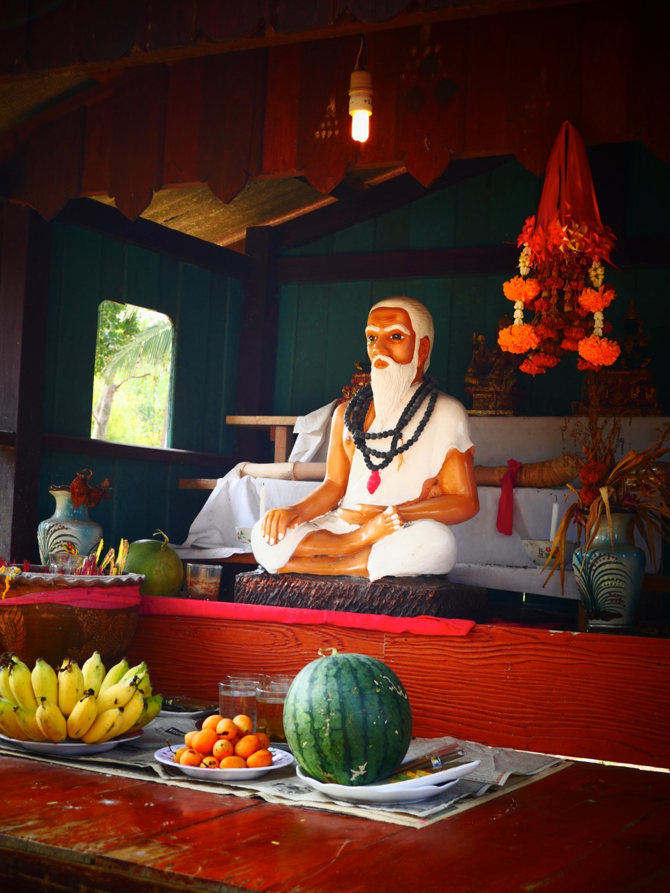 The Fogorellis Go Feral