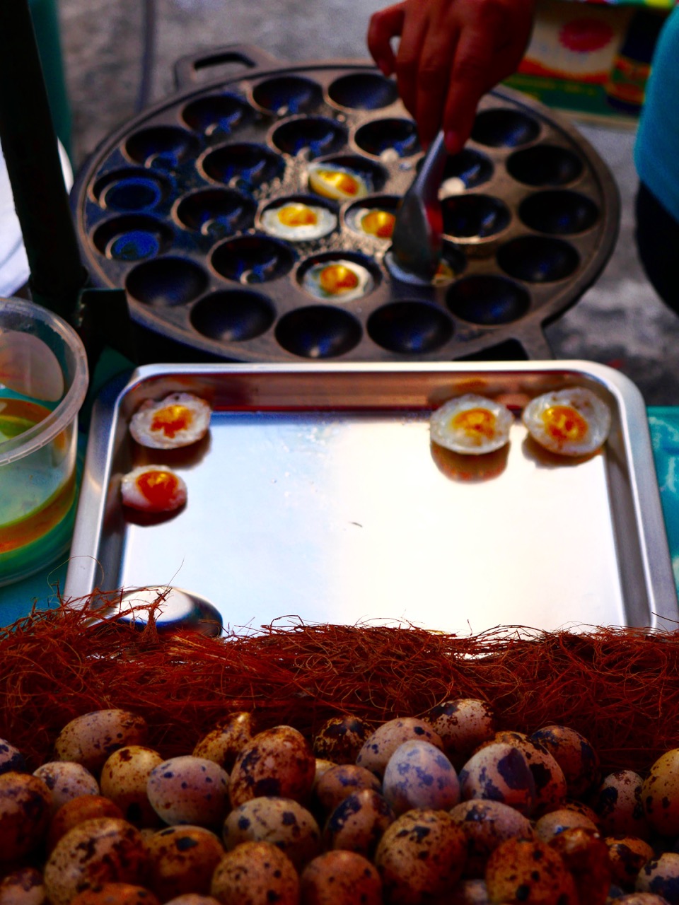 The Fogorellis Go Feral