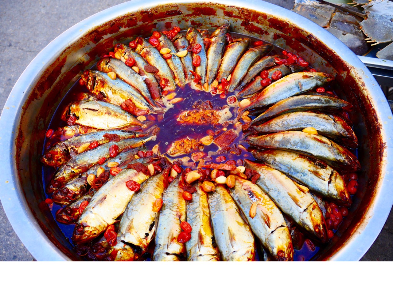 The Fogorellis Go Feral