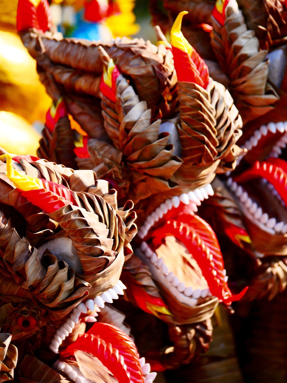 The Fogorellis Go Feral