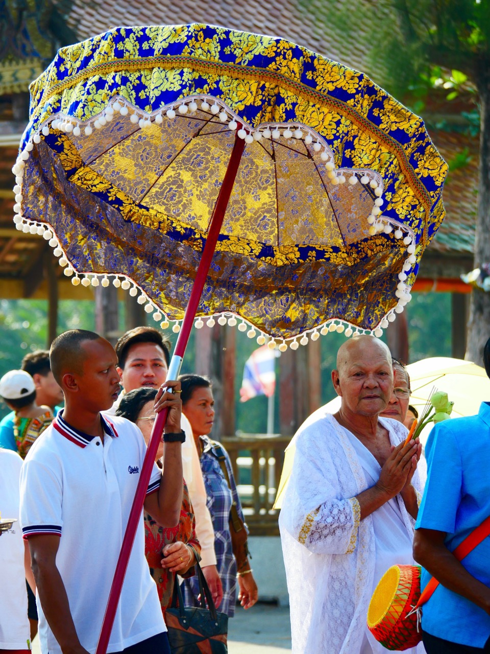 The Fogorellis Go Feral