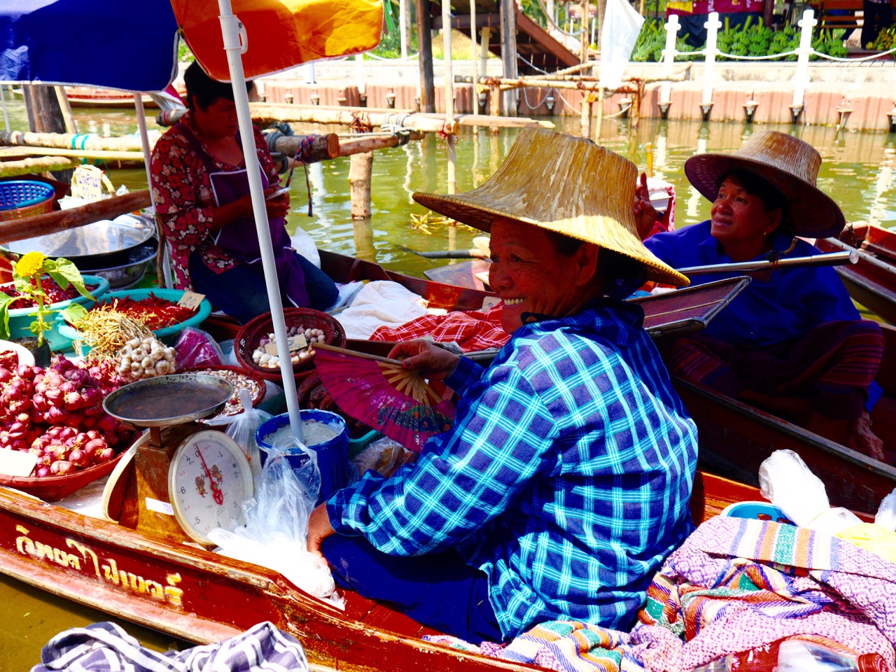 The Fogorellis Go Feral