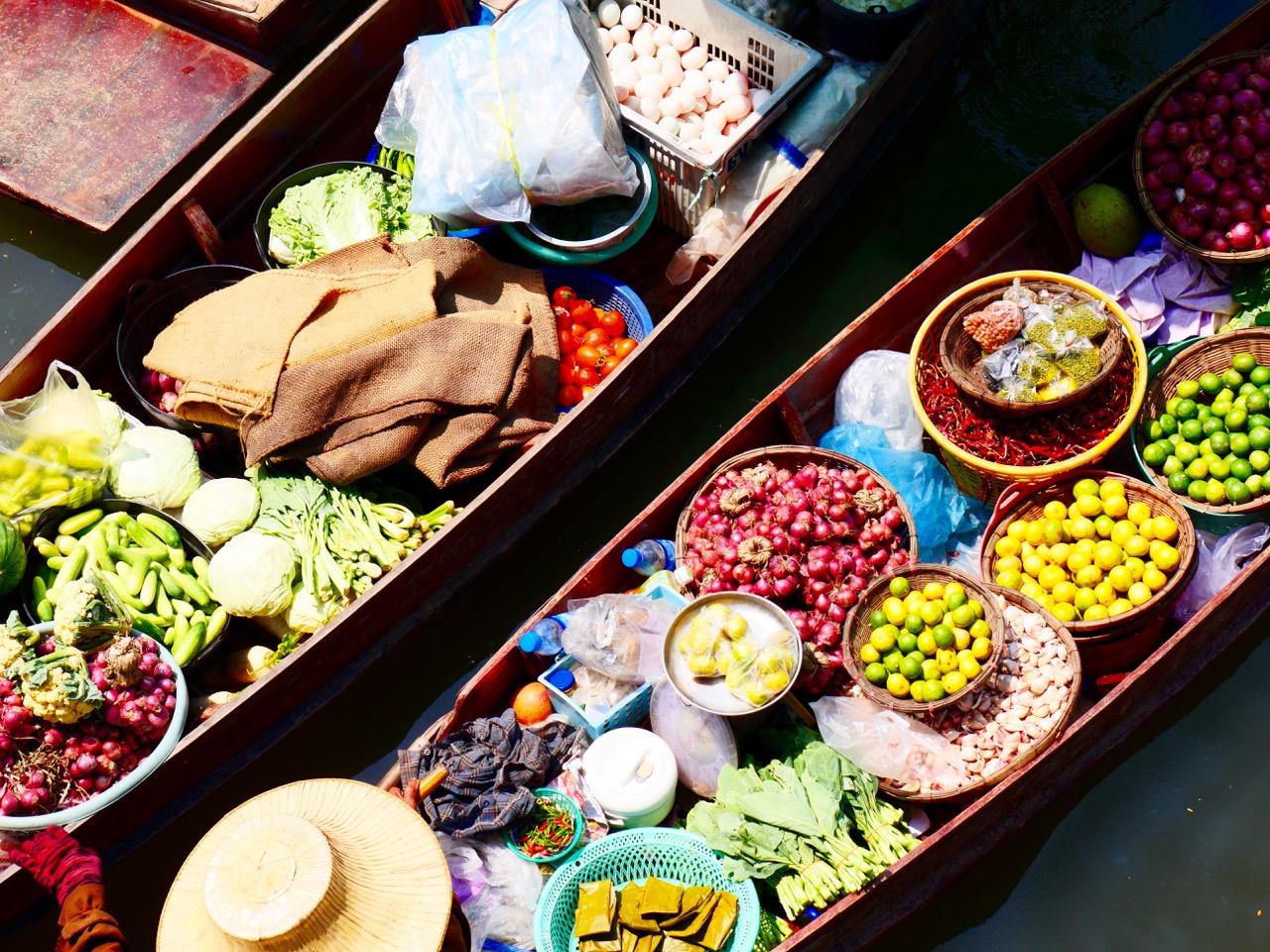 The Fogorellis Go Feral