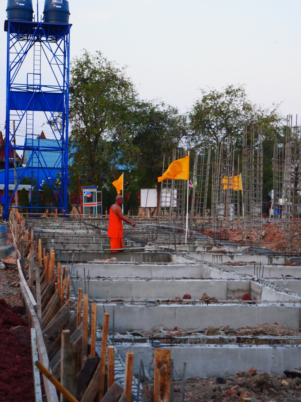 The Fogorellis Go Feral