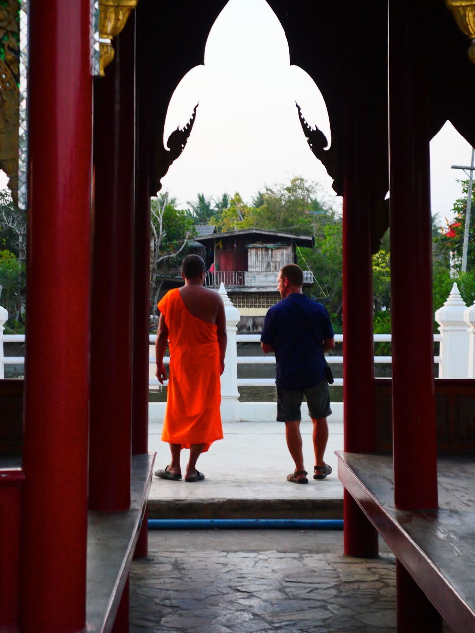 The Fogorellis Go Feral