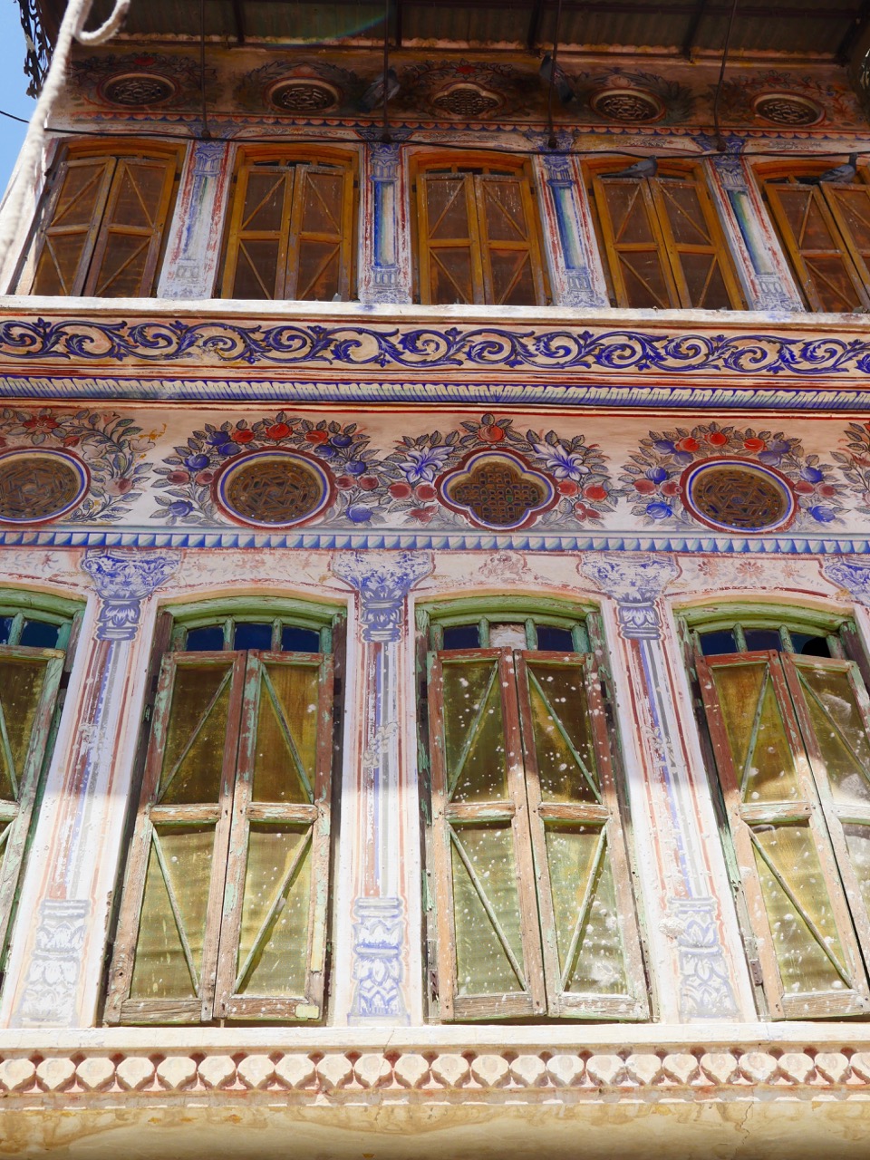 The Fogorellis Go Feral