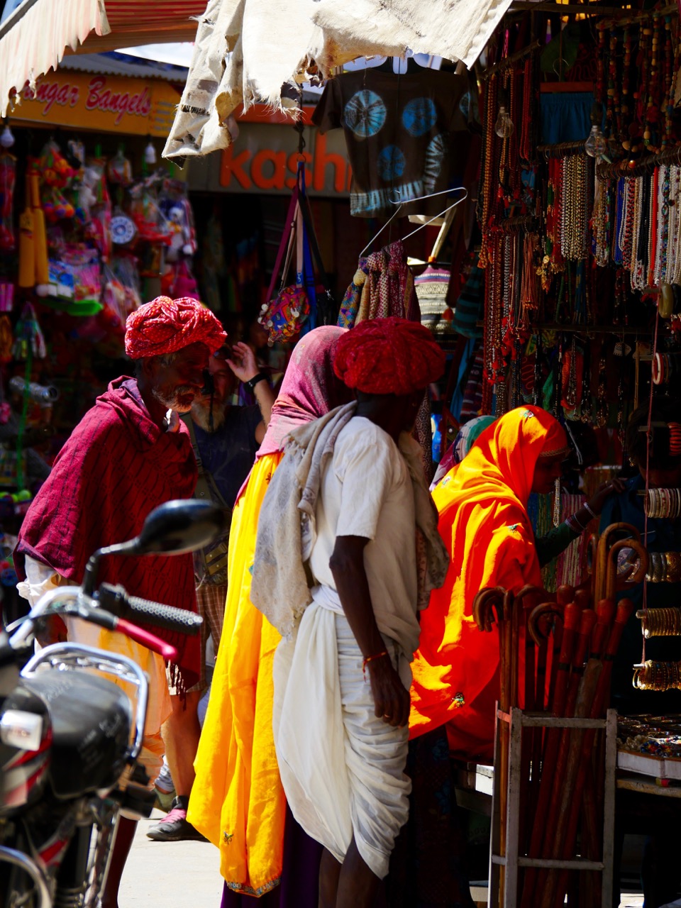 The Fogorellis Go Feral