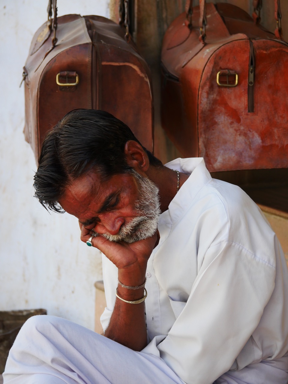 The Fogorellis Go Feral