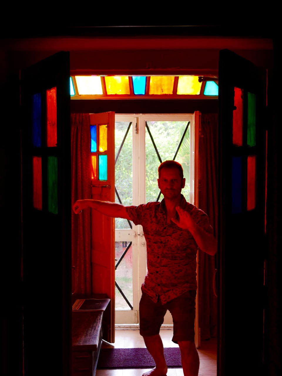 The Fogorellis Go Feral