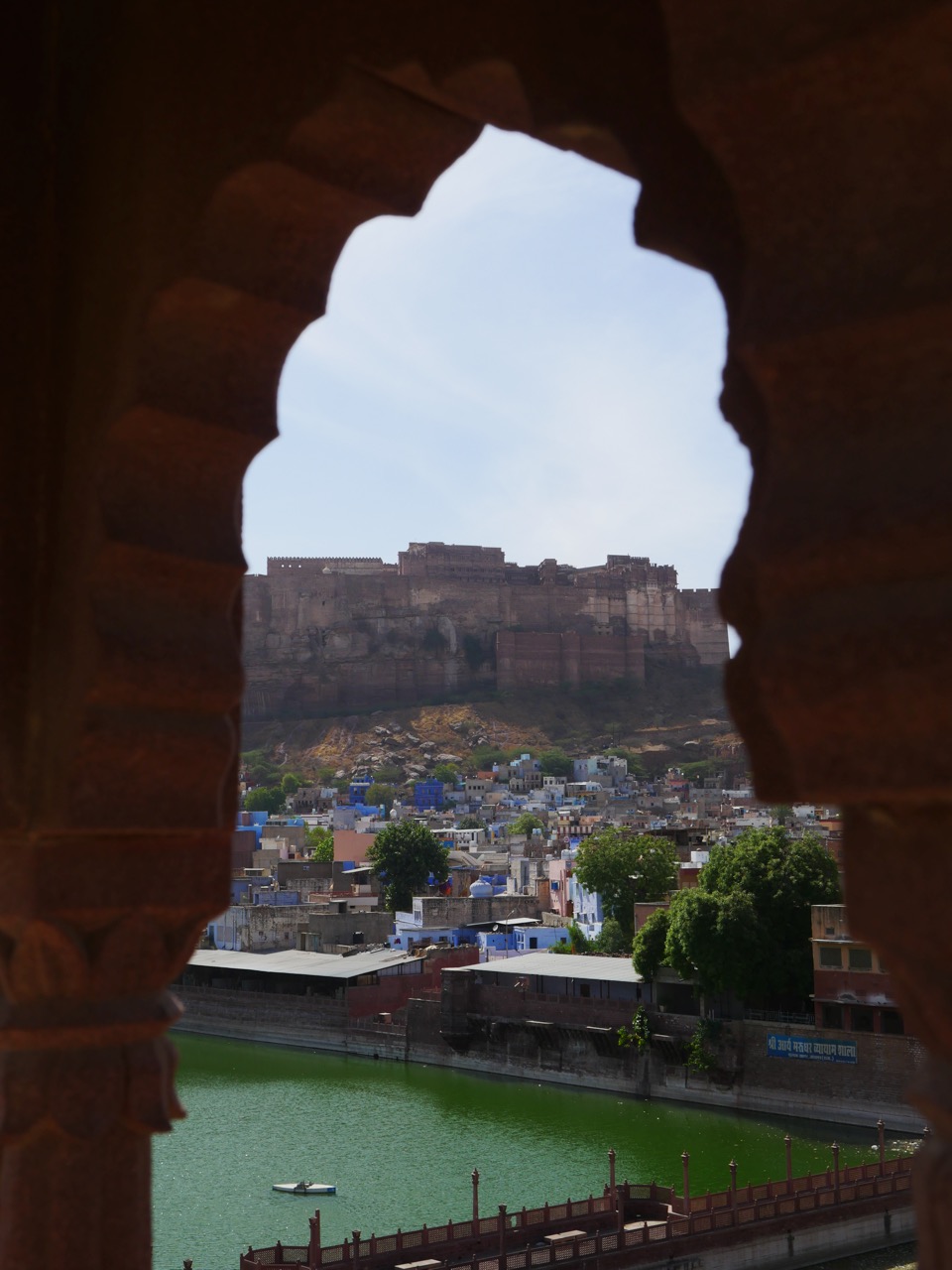 The Fogorellis Go Feral