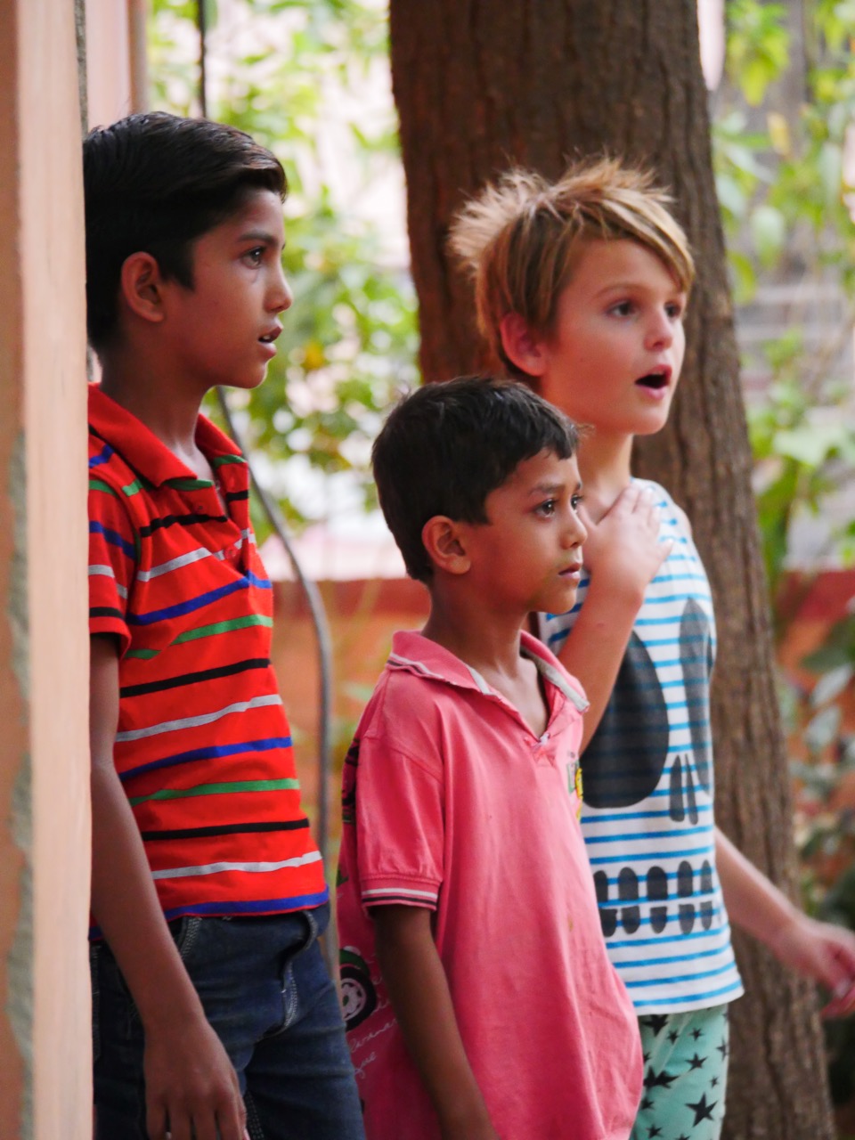 The Fogorellis Go Feral