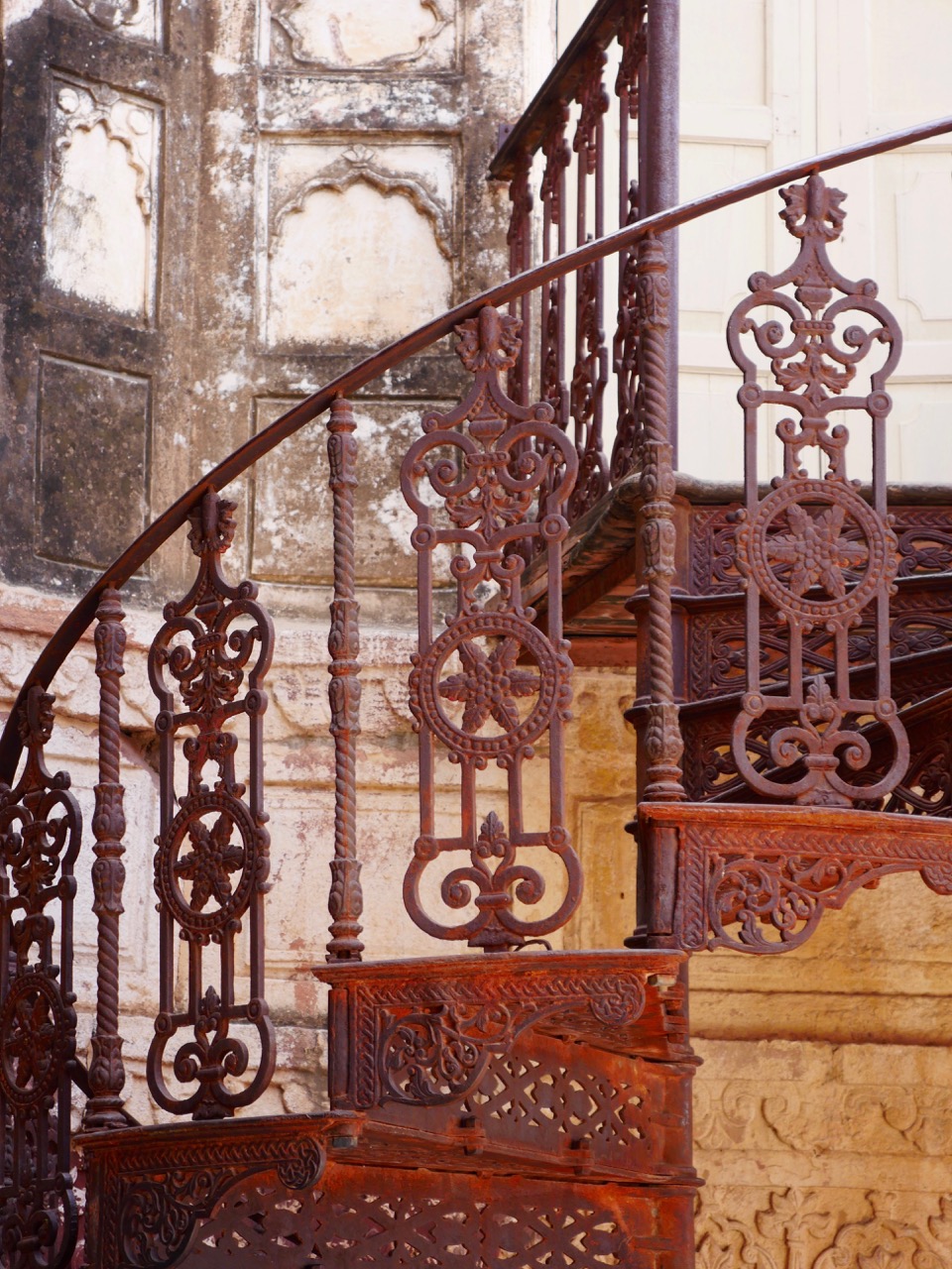 The Fogorellis Go Feral