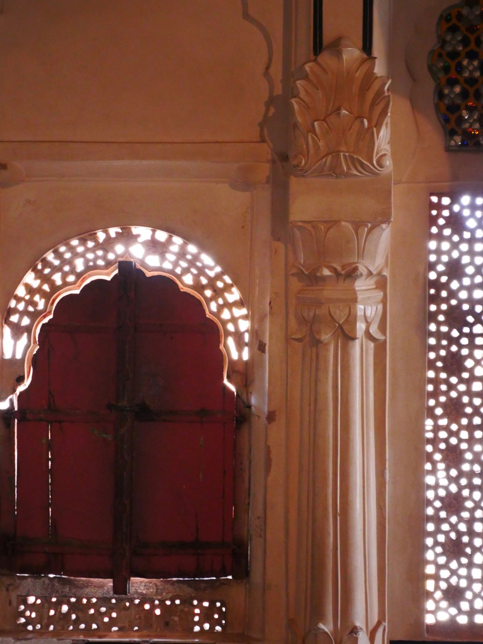 The Fogorellis Go Feral