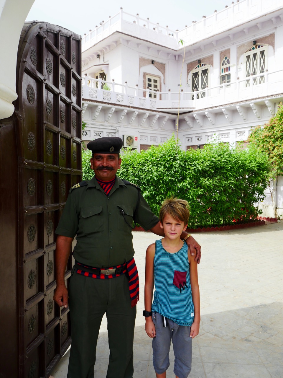 The Fogorellis Go Feral