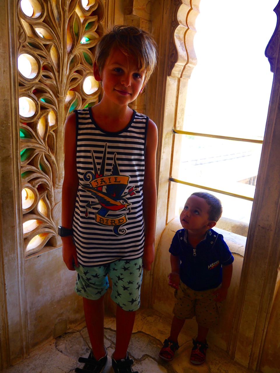 The Fogorellis Go Feral