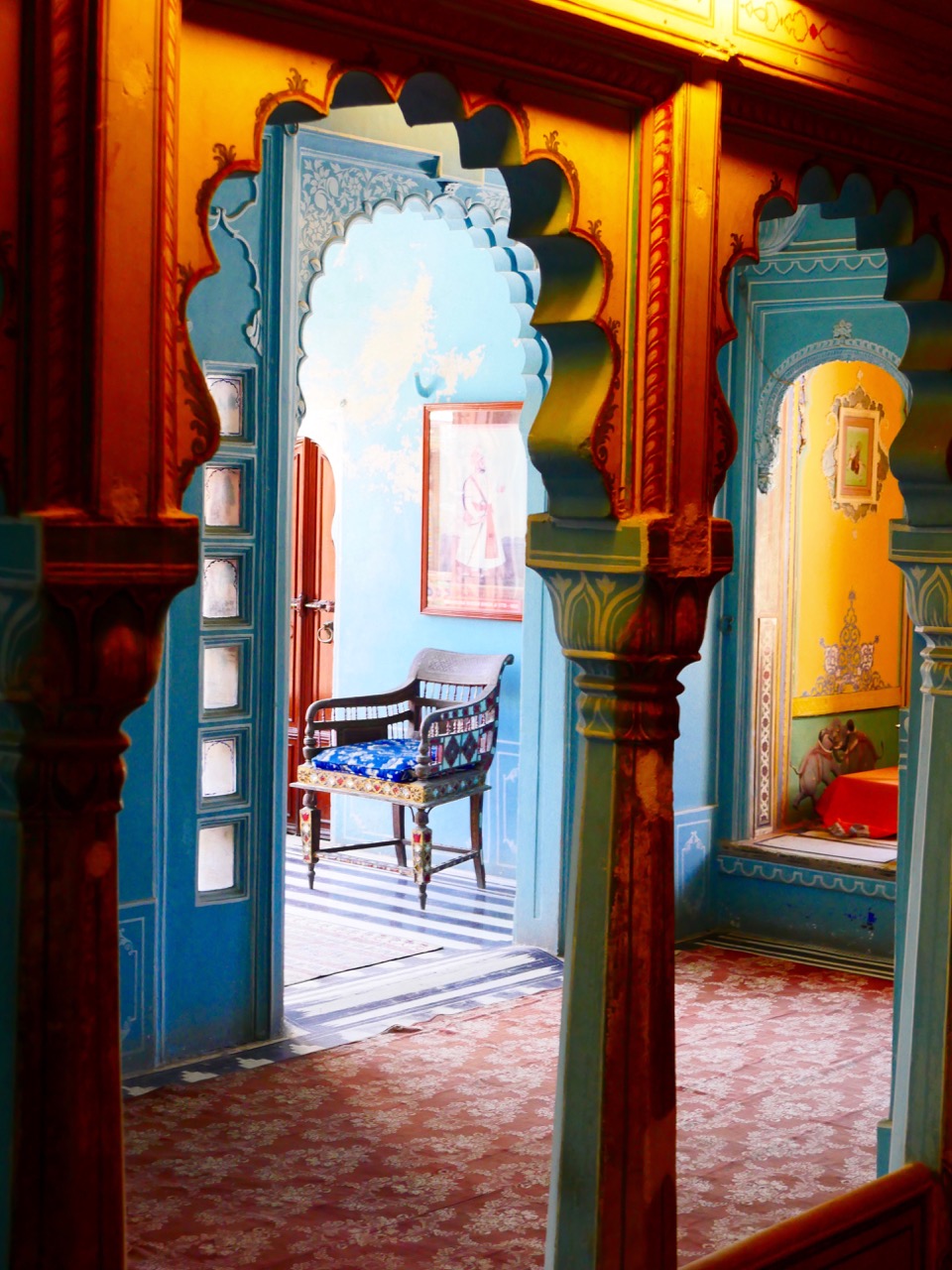 The Fogorellis Go Feral