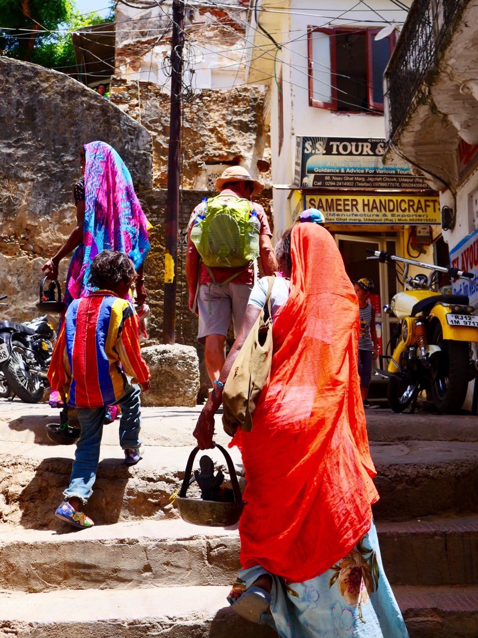 The Fogorellis Go Feral