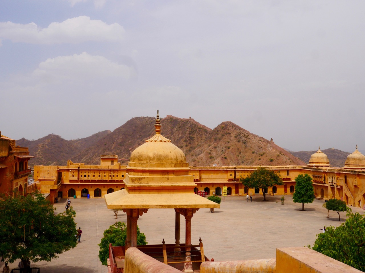 The Fogorellis Go Feral