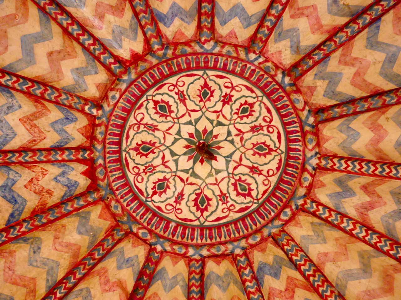 The Fogorellis Go Feral