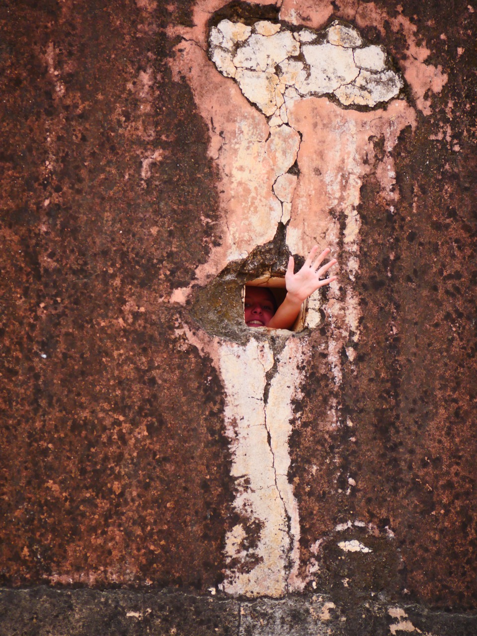 The Fogorellis Go Feral