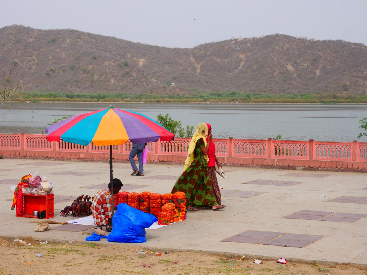 The Fogorellis Go Feral