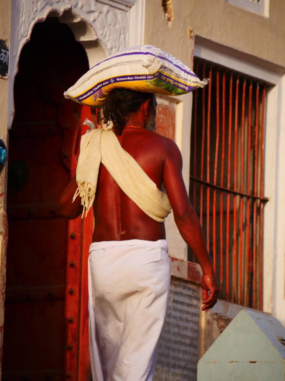 The Fogorellis Go Feral