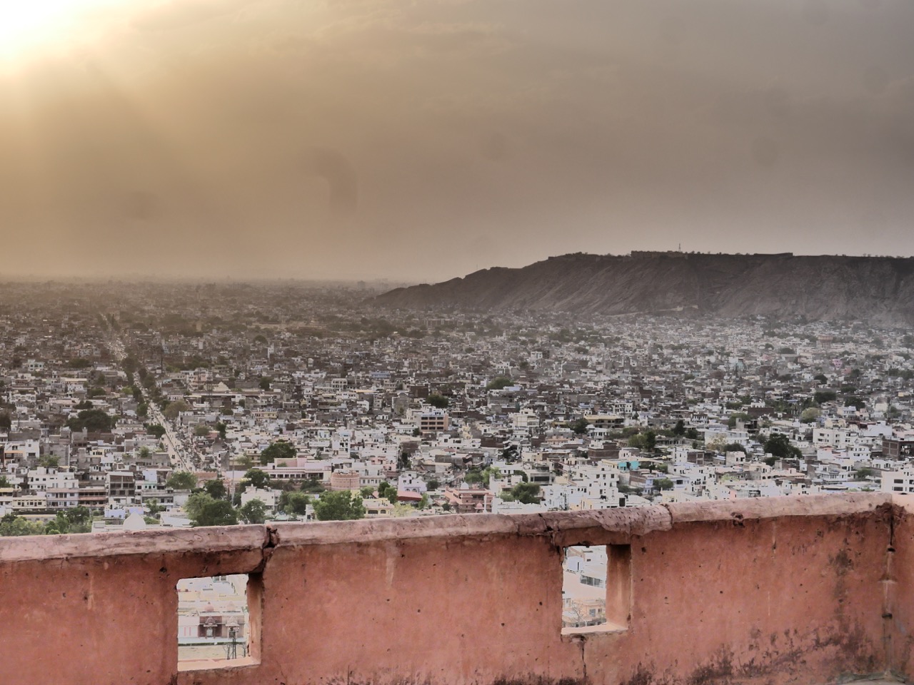 The Fogorellis Go Feral