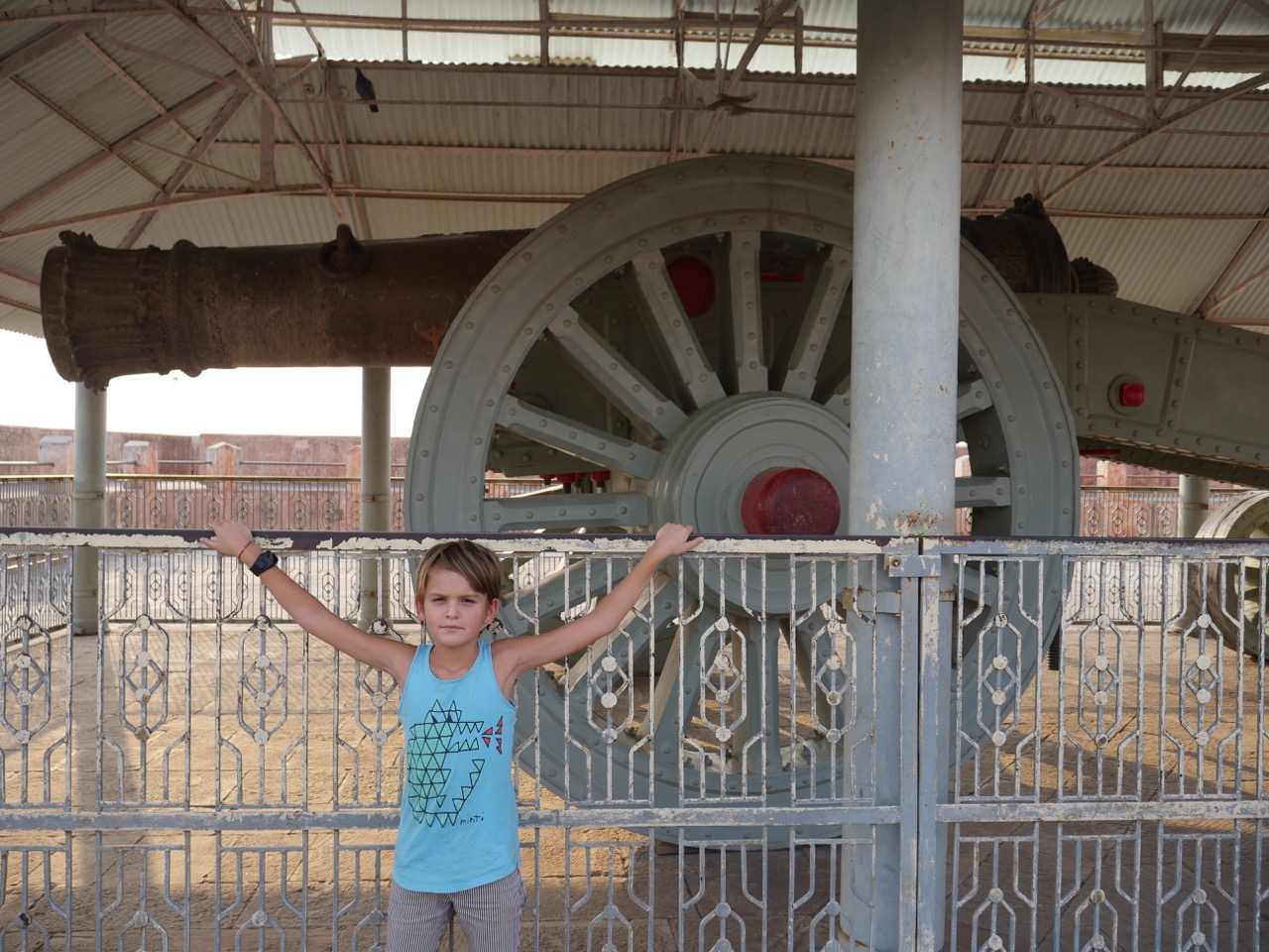 The Fogorellis Go Feral