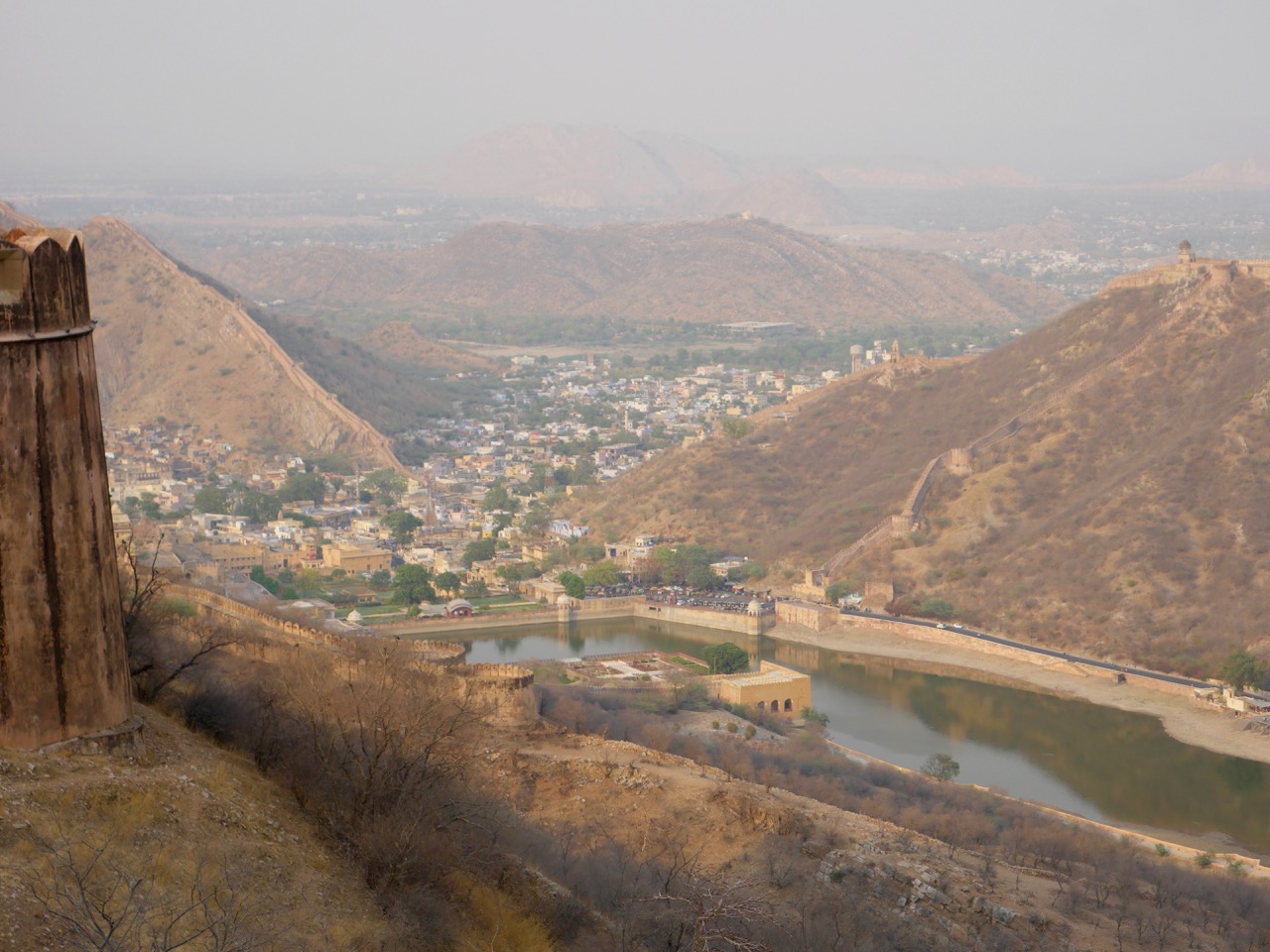 The Fogorellis Go Feral