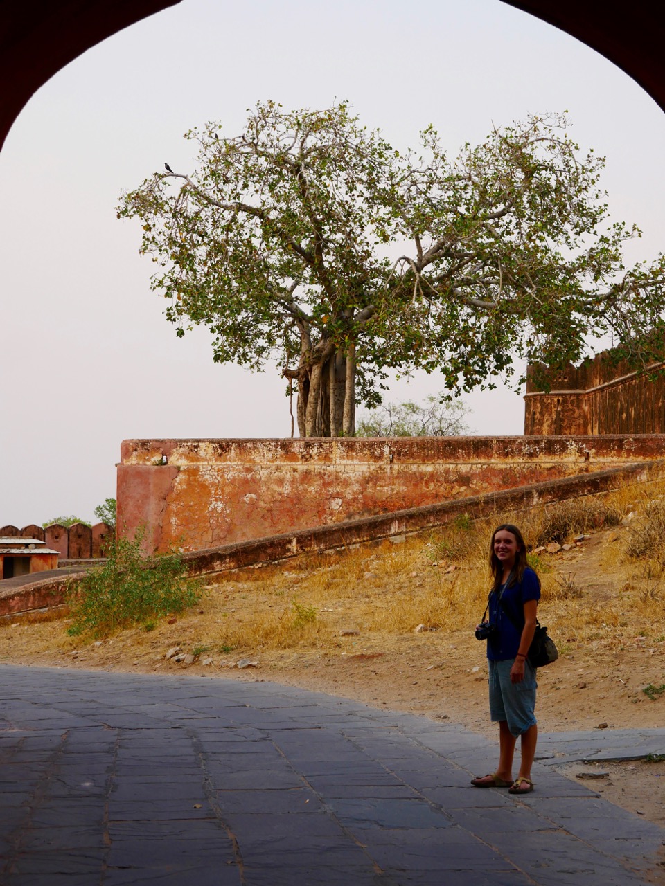 The Fogorellis Go Feral