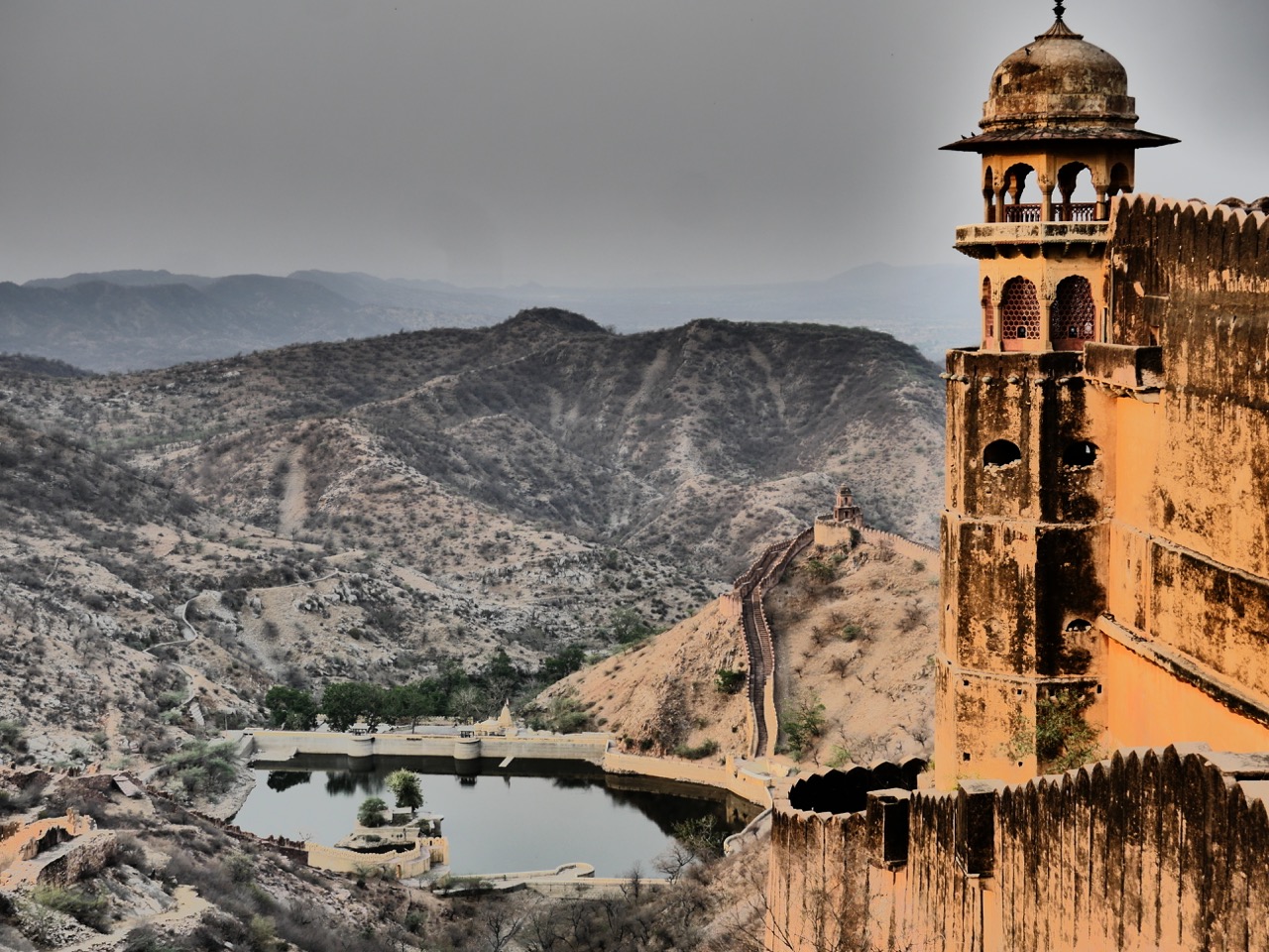 The Fogorellis Go Feral