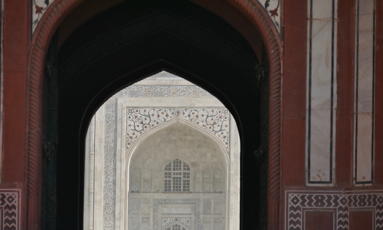 The Fogorellis Go Feral