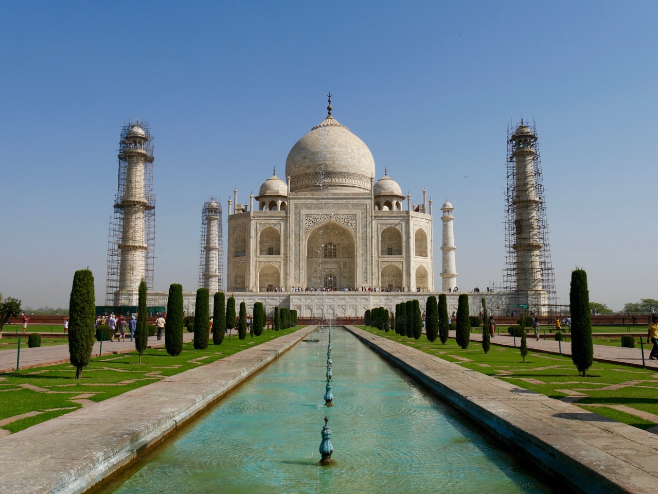 The Fogorellis Go Feral