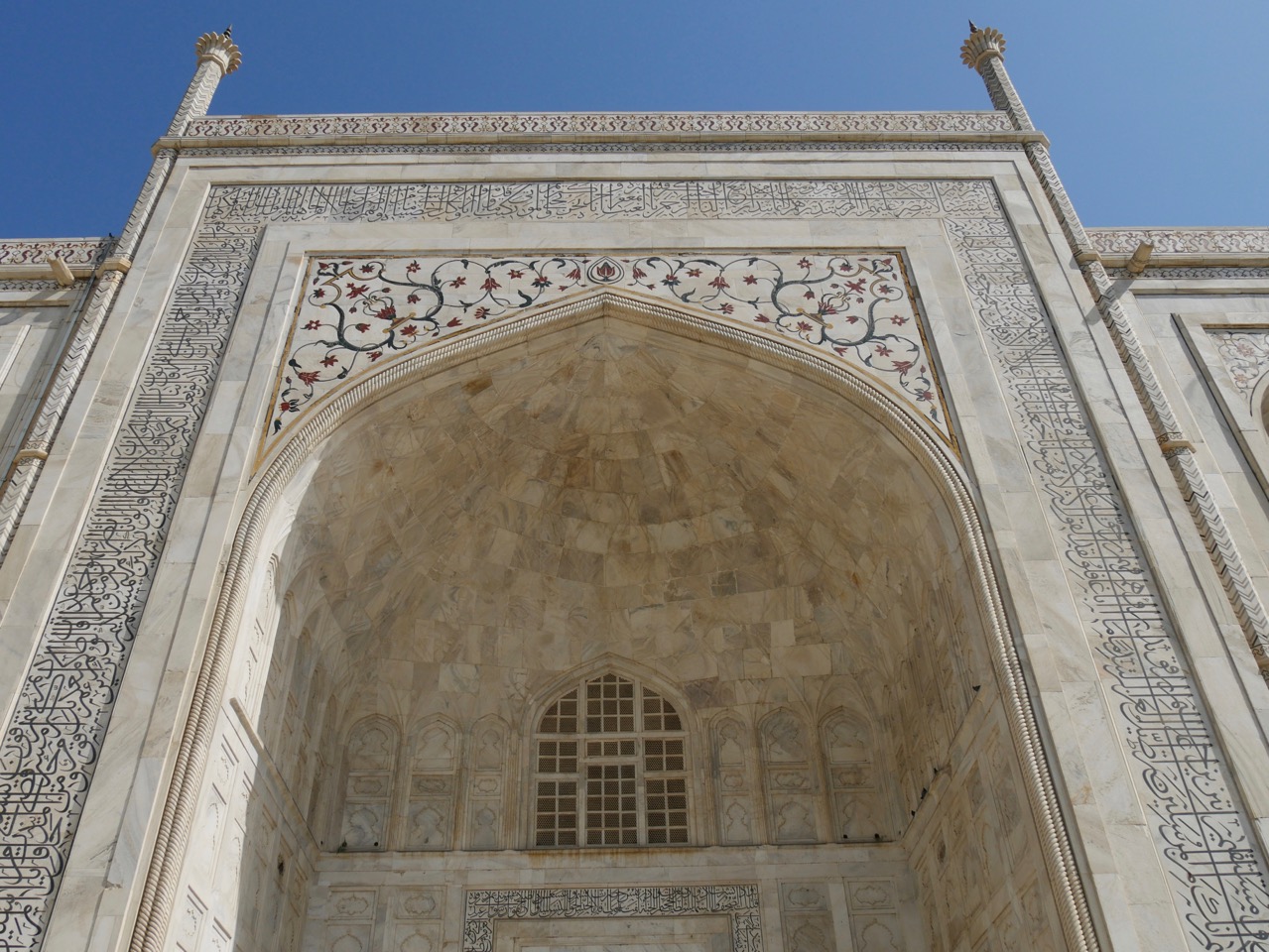 The Fogorellis Go Feral