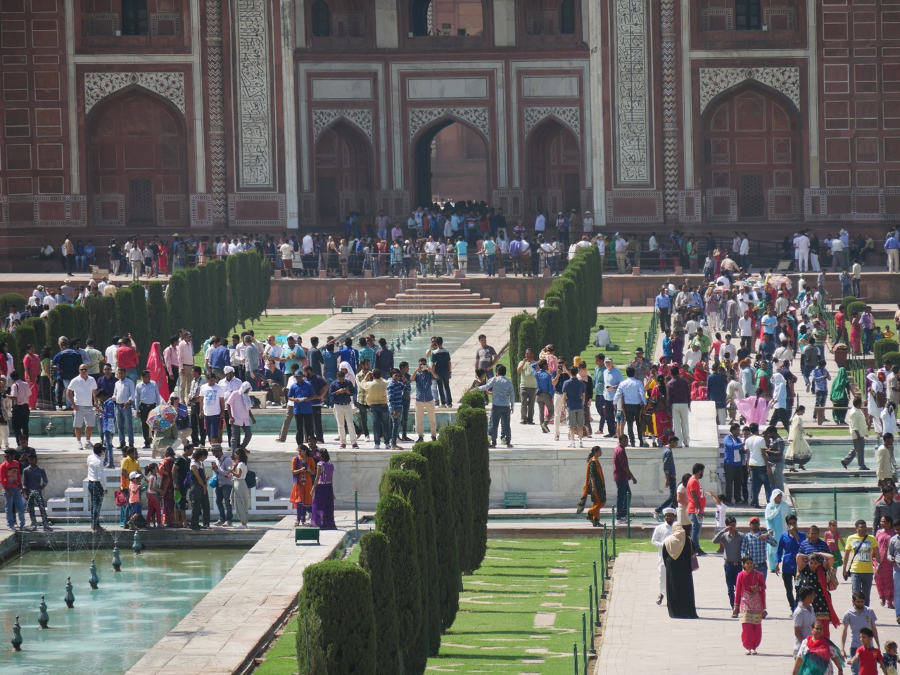 The Fogorellis Go Feral