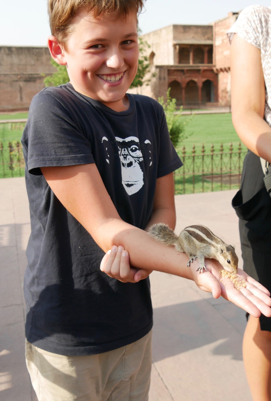 The Fogorellis Go Feral