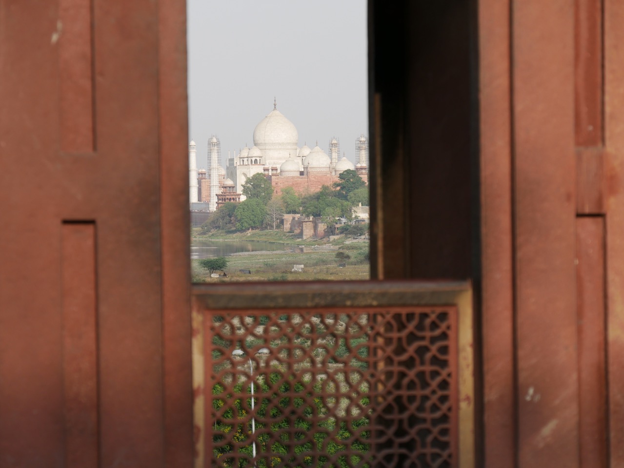 The Fogorellis Go Feral