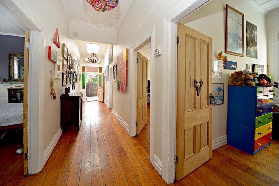 The Fogorellis Go Feral