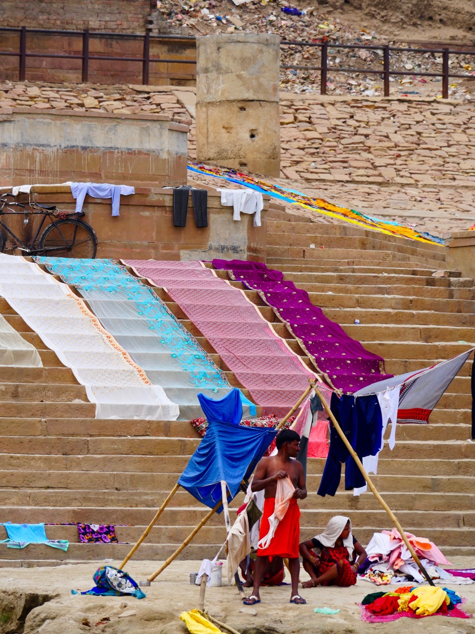 The Fogorellis Go Feral