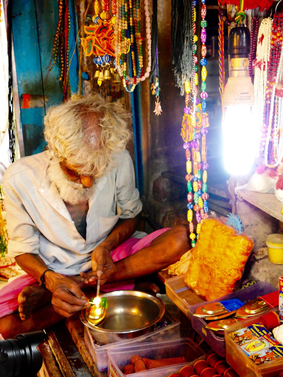 The Fogorellis Go Feral