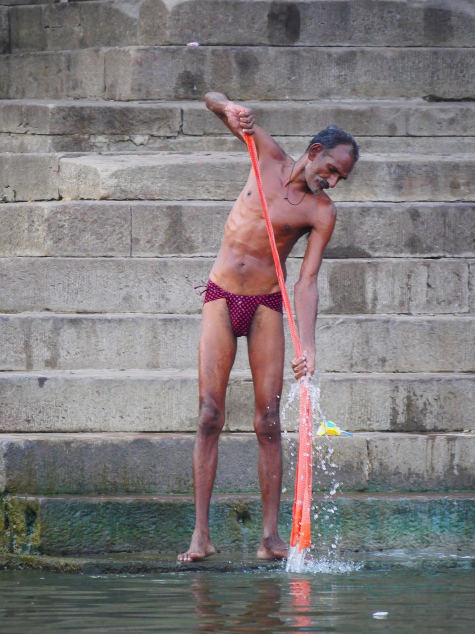 The Fogorellis Go Feral