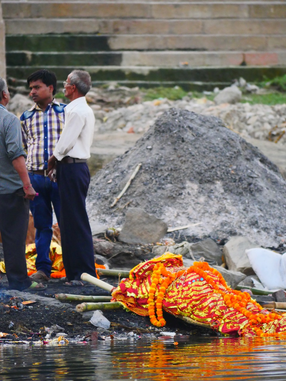 The Fogorellis Go Feral