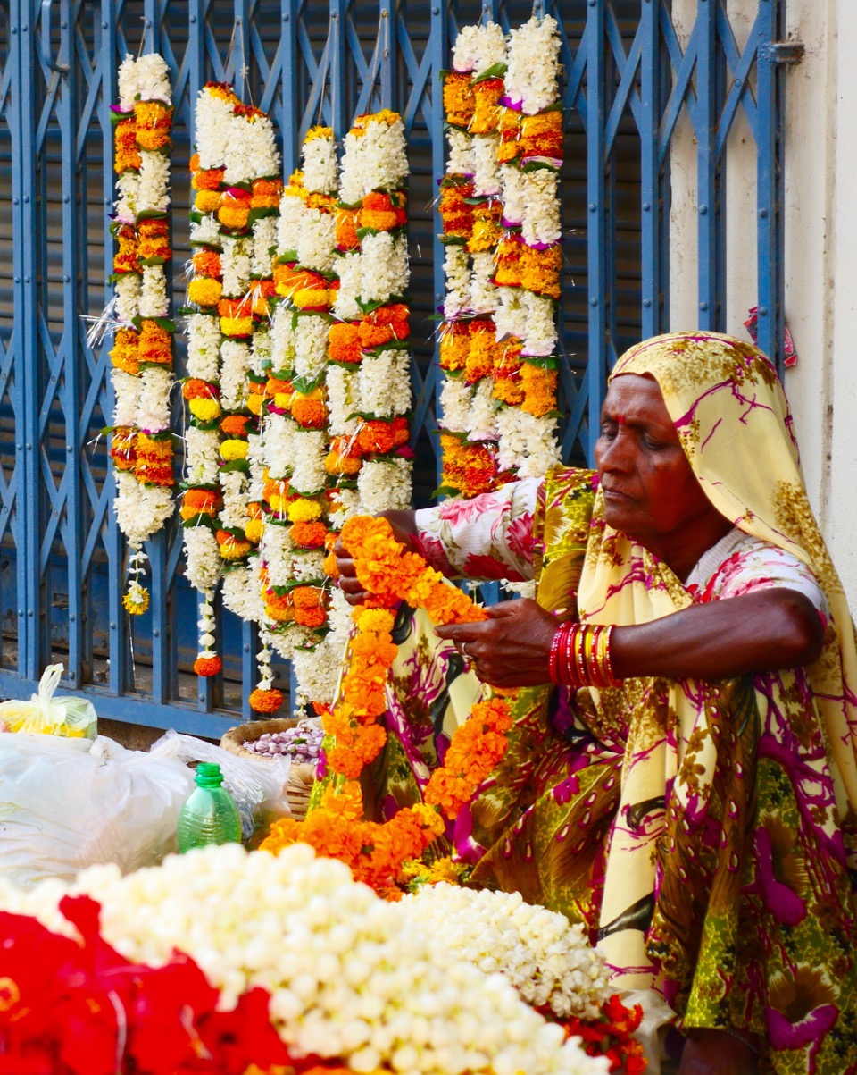 The Fogorellis Go Feral