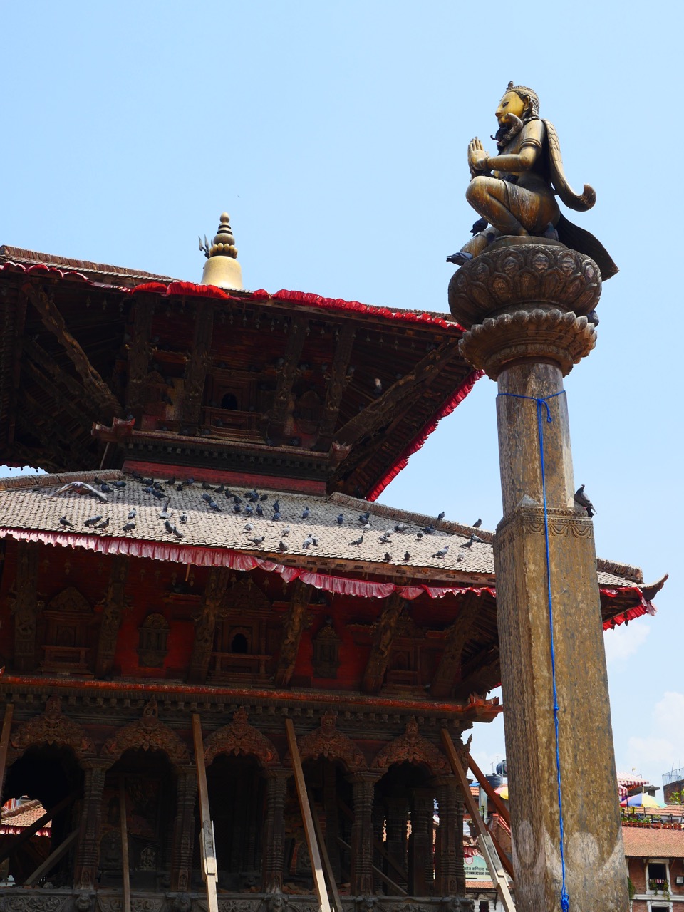 The Fogorellis Go Feral